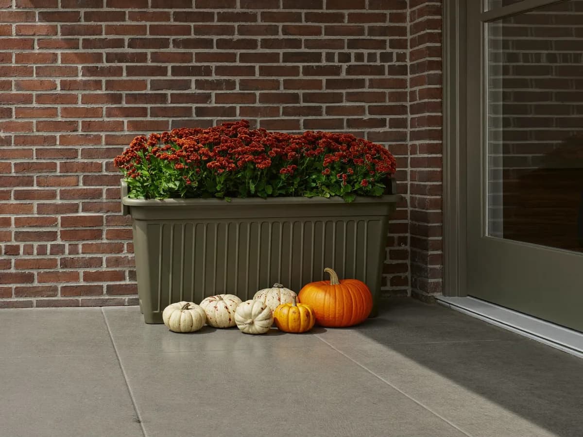 A planter and pumpkin grouping beside a brick wall with open porch floor